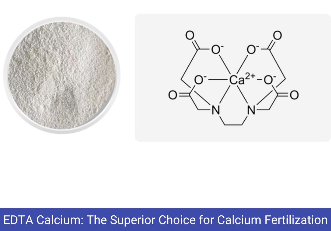 EDTA Calcium Superior Choice Calcium Fertilization